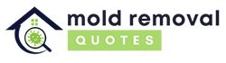 Mold Removal Chandler